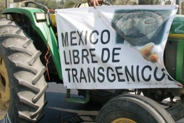 Mexico's Decision to Ban Glyphosate Has Rocked the Agribusiness World